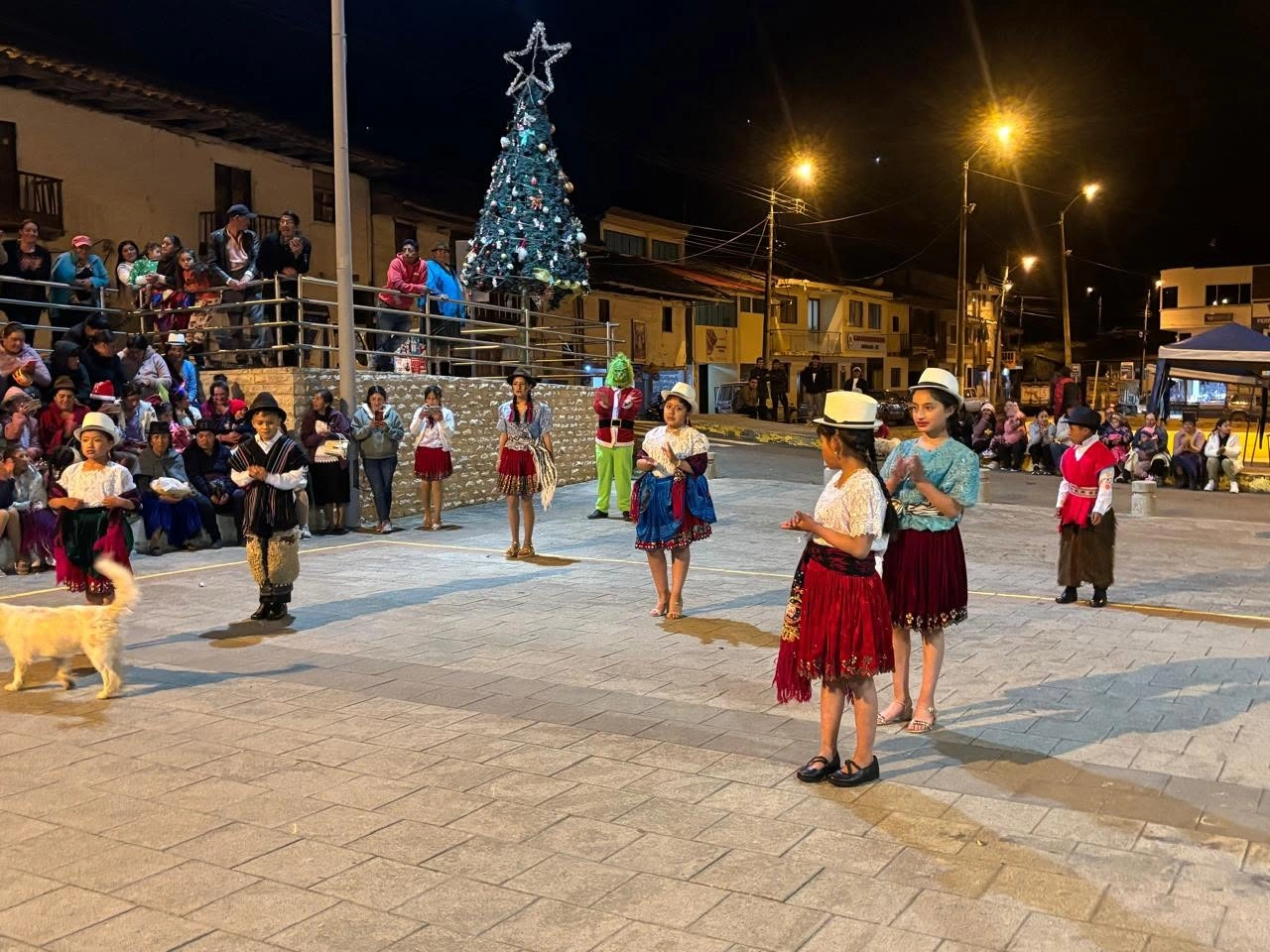 Foto de galería 6